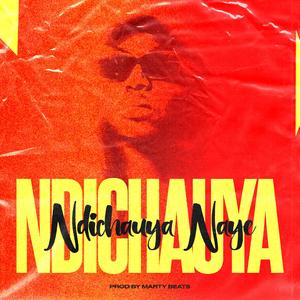 Ndichauya Naye
