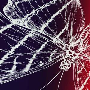 Rare Earth (Florian Felsch Remix)