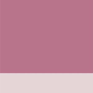 晚婚（cover 谭维维）