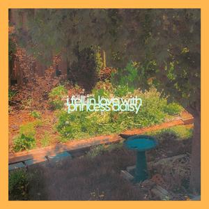 i fell in love with princess daisy