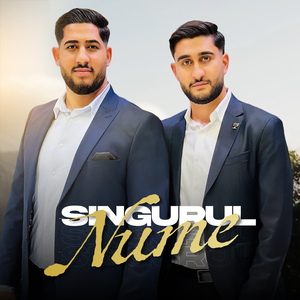 Singurul Nume