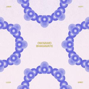 Om namo Bhagavate