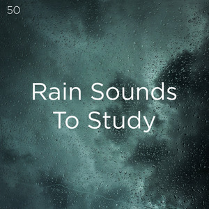 수면 비 소리