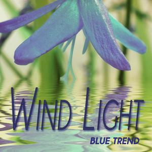 Wind Light