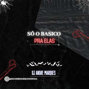 SÓ O BASICO PRA ELAS ((( DJ ANDRE MARQUES )))