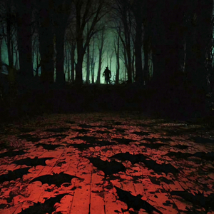 Тень в пустоте