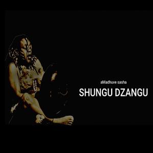 Shungu dzangu