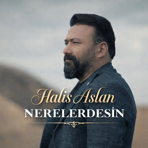 Nerelerdesin