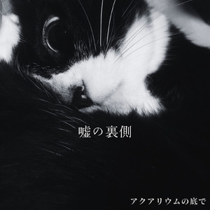 嘘の裏側