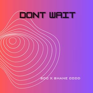 Don't Wait