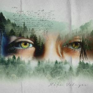 where the trees meet the earth