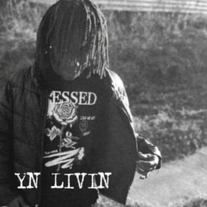 YN LIVIN