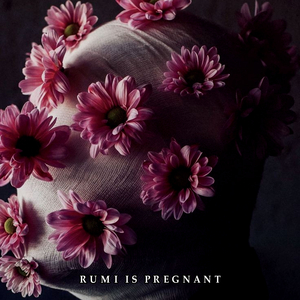 Rumi Is Pregnant
