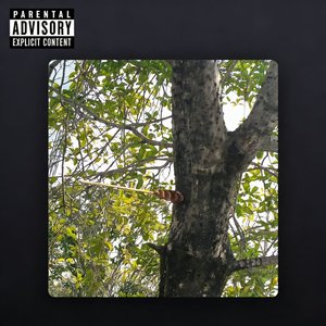 出拳（Prod By 9Zi）