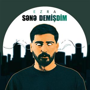 Sənə Demişdim