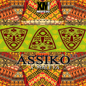 Assiko 3.0
