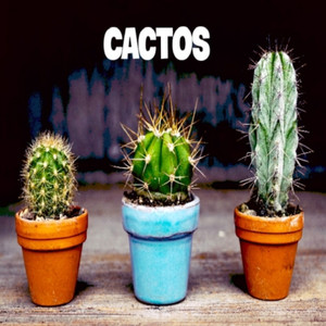 Cactos
