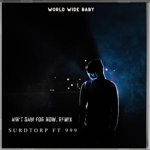 Ain't sabi for now (feat. 999) (remix)