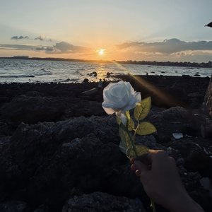 谢谢你的回答 再见（钢琴曲）