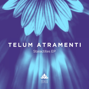 Surfing The Sea Of Tranquility