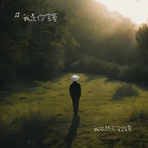 我依然不会放弃