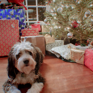 Mistletoe - Recorded at Electric Lady Studios NYC