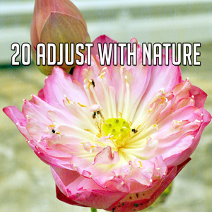 在自然奇觀的世界