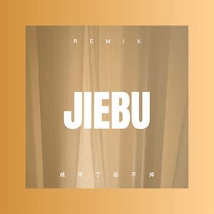 蝴蝶双双 飞 (DJ版)