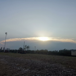 助眠白噪音（夏季雷雨声）