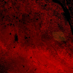 99%（采样：虚拟）