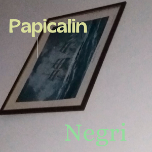 Negri