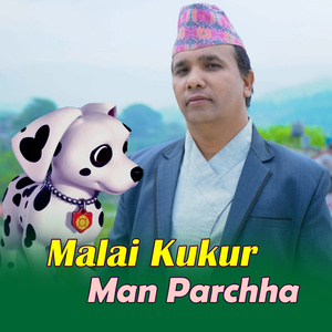 Malai Kukur Man Parchha