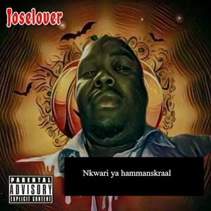 Nkwari ya hammanskraal