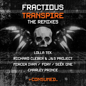 Transpire (J&S Project , Richard Cleber Remix)