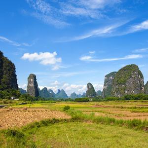 鲸落于海 (温暖古琴)