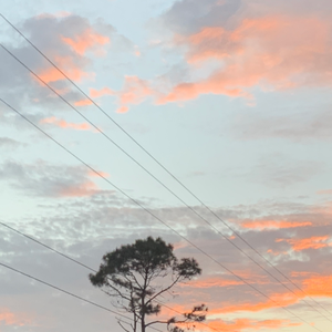 **** usa (theyfriend pt. 2)