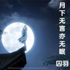 月下无言亦无眠