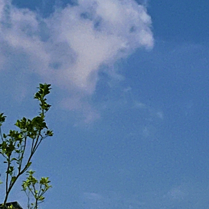 幻想（prod.tried）