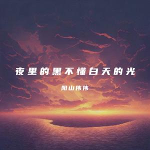 夜里的黑不懂白天的光