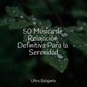 Rayo De Sol Calmante