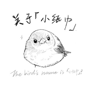 关于「小纸巾」