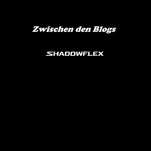 Zwischen den Blogs