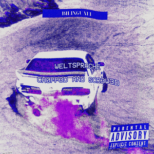 Hausdurchsuchung (Remix)