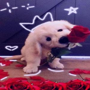 VALENTINE (feat. MVP Mecka & Txk0)