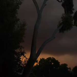 彼方尚有荣光在