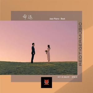 【Free】"命运“ Jazz Piano Type Beat