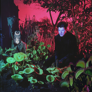 Oranje Licht Van De Berg