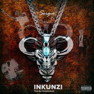 Inkunzi