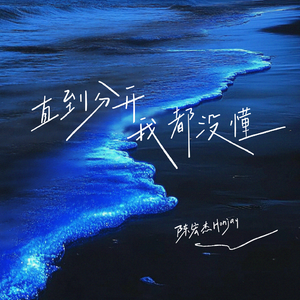 直到分开我都没懂