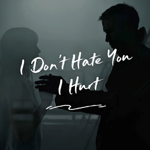 I Don’t Hate You, I Hurt